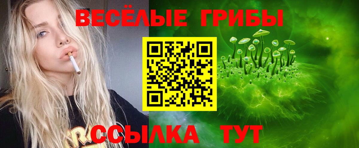Галлюциногенные грибы Cubensis Осинники
